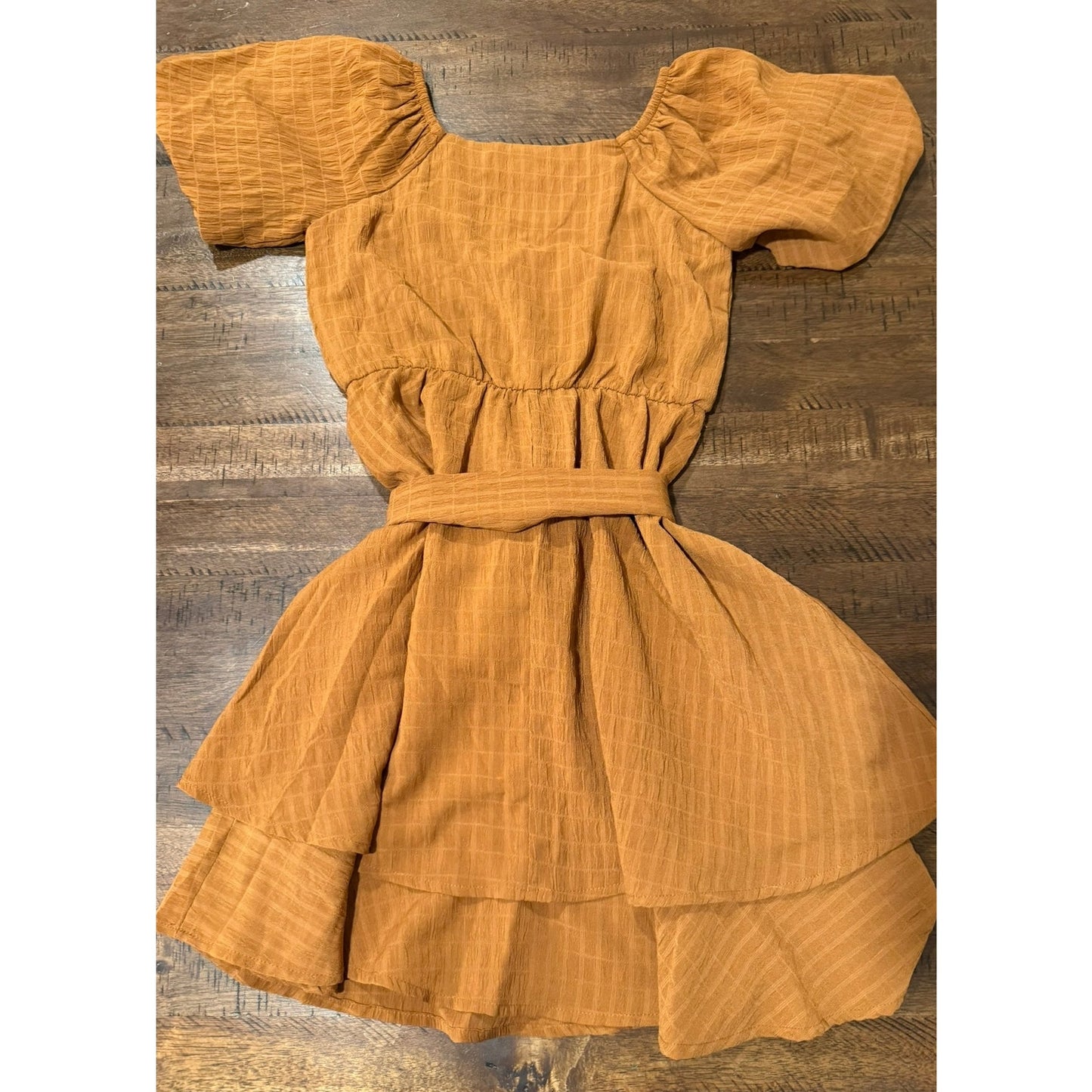 Speechless Girls' Balloon Sleeve Chiffon Dress Girls Size 10 EUC Rust Color