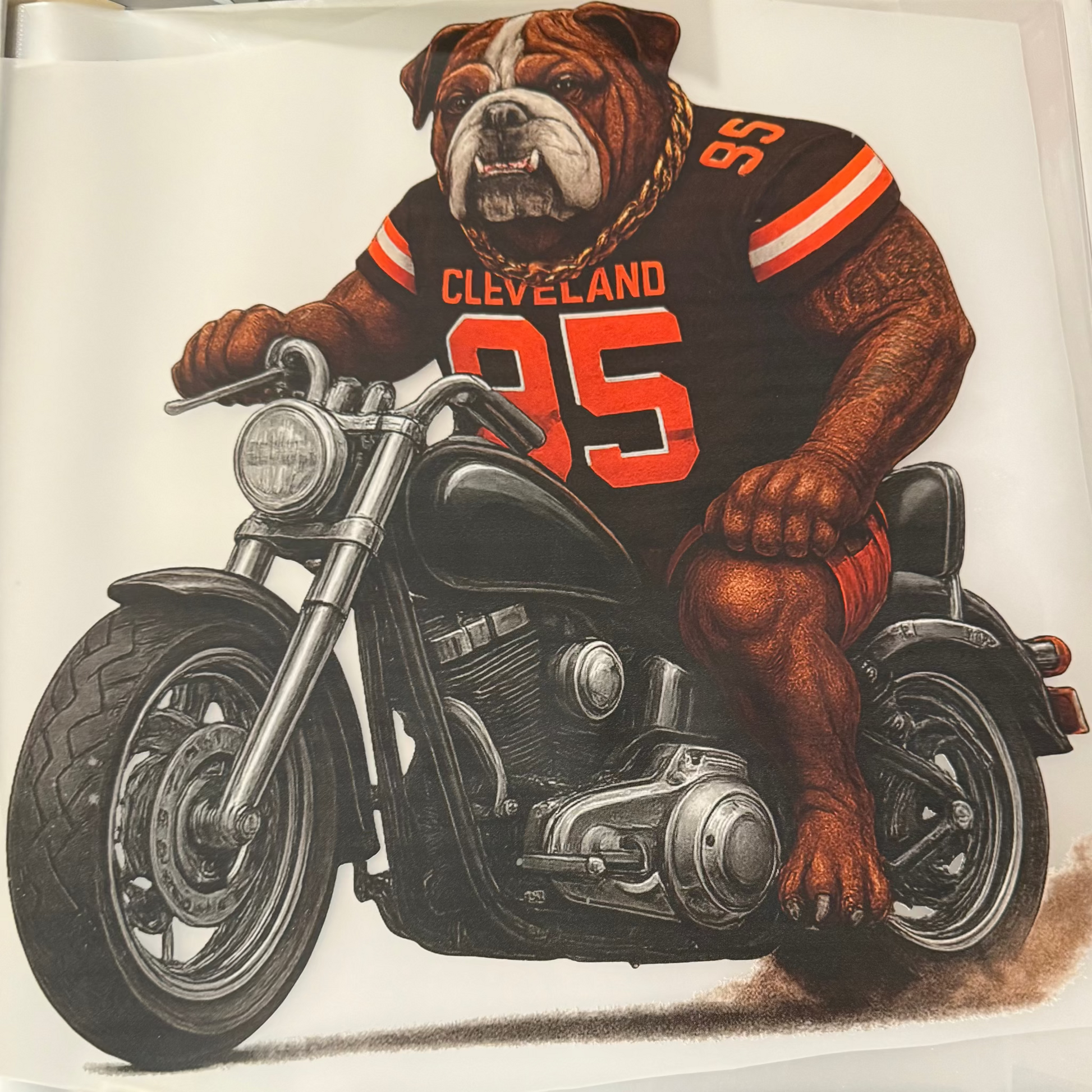 Illustration of a bulldog wearing a Cleveland Browns jersey on a motorcycle